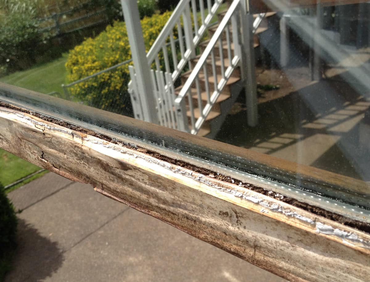 Modern Wood Window Sash Dry Rot Problem